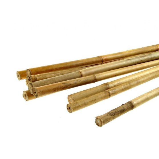 Bambusová podperná tyč, 75 cm