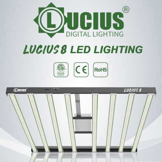 Lucius 8 LED 800W 2.8, LED svítidlo