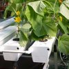 Terra Aquatica GrowStream 80, aero-hydro systém pro 80 rostlin