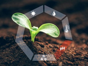 Pěstitelské základy: Měření a úprava pH při pěstování v půdě