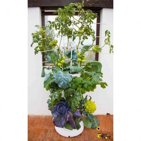 Vertikální systém MyPot Garden Tower šetří místem a umožňuje pěstovat více druhů zeleniny současně.