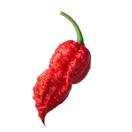 Piquant BHUT JOLOKIA RED semínka chilli papriček, 10 s
