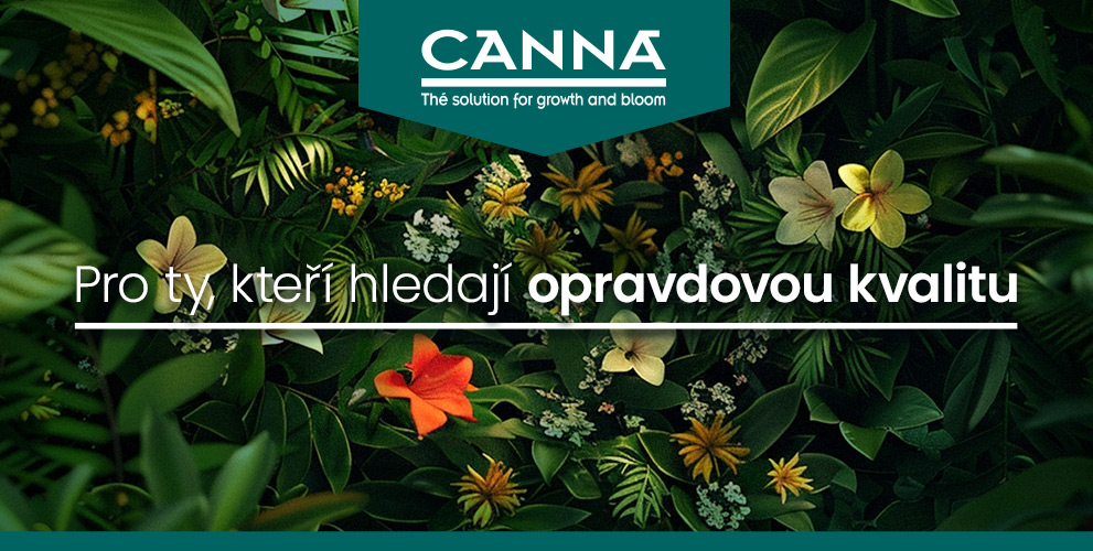 Canna, opravdová kvalita