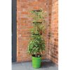 Garland Self Watering Grow Pot Tower Green, samozavlažovací kvetináč