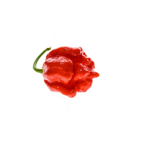 Piquant TRINIDAD MORUGA SCORPION RED semínka chilli papriček, 8 s