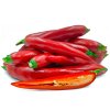 Piquant ROSSO semínka chilli papriček, 12 s