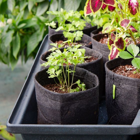 Zavlažovacia súprava GHE Plug & Grow pre 8 rastlín na 1-1,5 m2