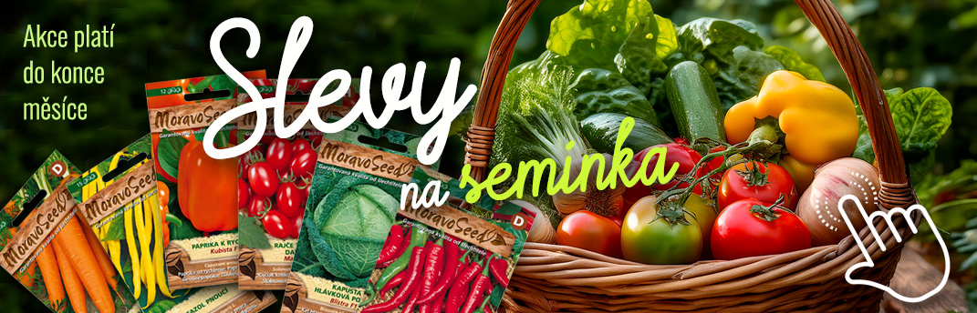 Výprodej semínek