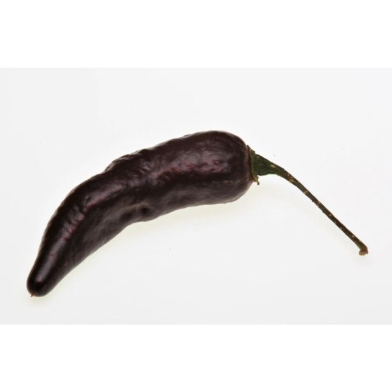 Piquant ROYAL BLACK semínka chilli papriček, 10 s