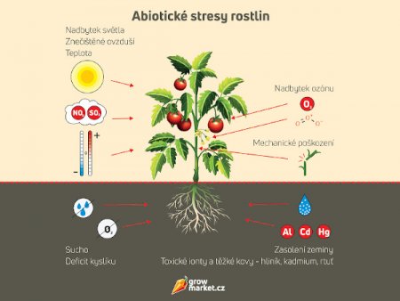 Sucho, teplo a iné abiotické stresové faktory pre rastliny