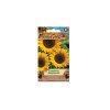 Semínka Slunečnice roční jednoduchá, žlutá, 30 s