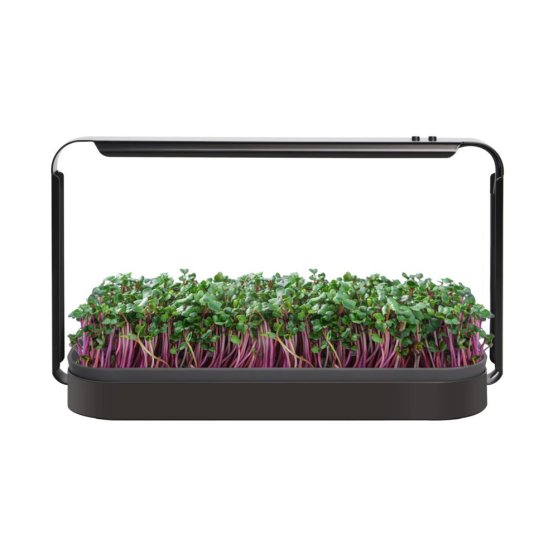 Urban LED 16W Mini grow kit na microgreens 6400K