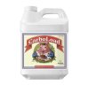 Advanced Nutrients CarboLoad Liquid 250 ml, květový stimulátor
