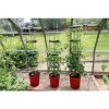 Garland Self Watering Grow Pot Tower Red, samozavlažovací kvetináč