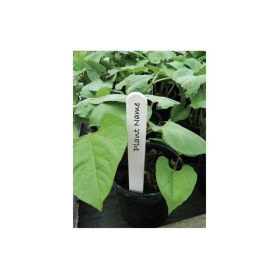 Garland Plant Label, 15cm bílé štítky popisovací 25 ks
