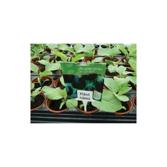 Garland Plant Label, biele štítky 10 ks