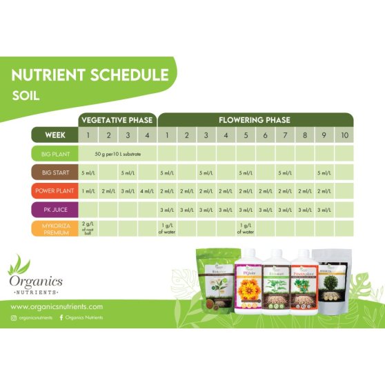 Organics Nutrients Mykoriza Premium 100 g