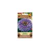 Semínka Ostálka lepá jiřinkokvětá, fialová, 50 s