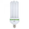 LUMii EnviroGro teplá biela 200W CFL 2700 K, energeticky úsporná kvetinová lampa