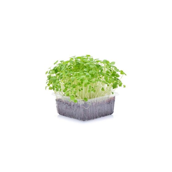 Microgreens semínka na klíčky - Pískavice (řecké seno) 20 g