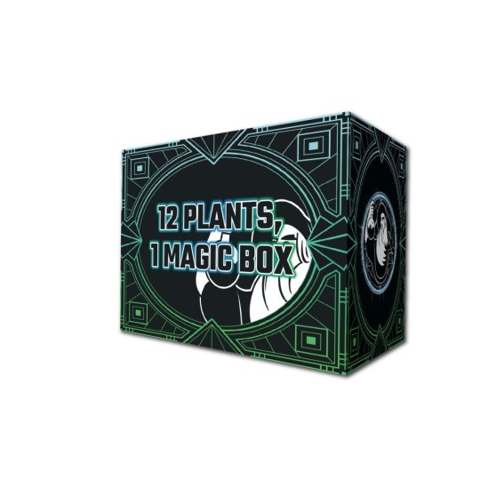 La Poción Del Brujo Potion Box, sada hnojív