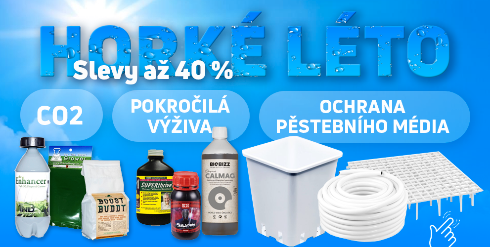 Horko a jiné letní problémy