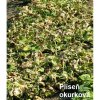Agro Kuprikol 50 2x 10 g, fungicíd