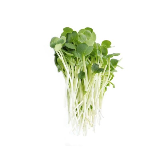Microgreens semínka na klíčky - Vojtěška Alfalfa 20 g