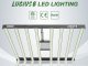 Seznamte se s LUCIUS LED 600W&800W&100W UV Finisher