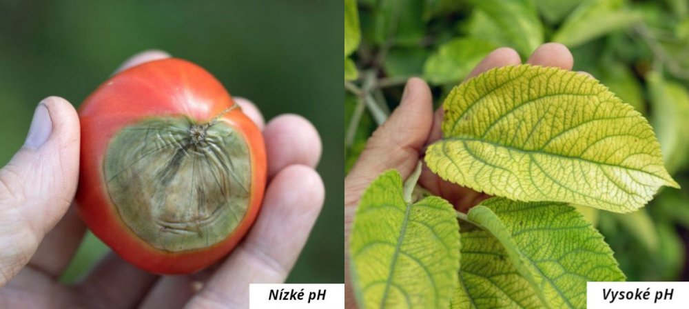 Vysoké a nízké pH ohrožuje zdraví rostlin a úrodu.