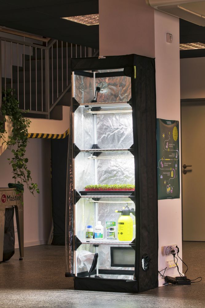 Microgreens komplet s pěstebním stanem si můžete prohlédnout v našem showroomu